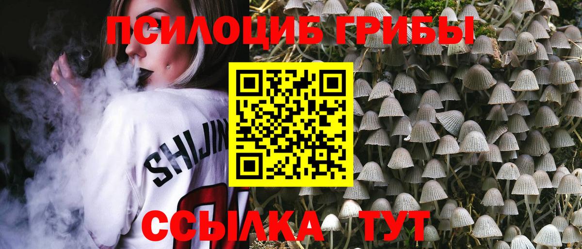 Галлюциногенные грибы мицелий Урус-Мартан